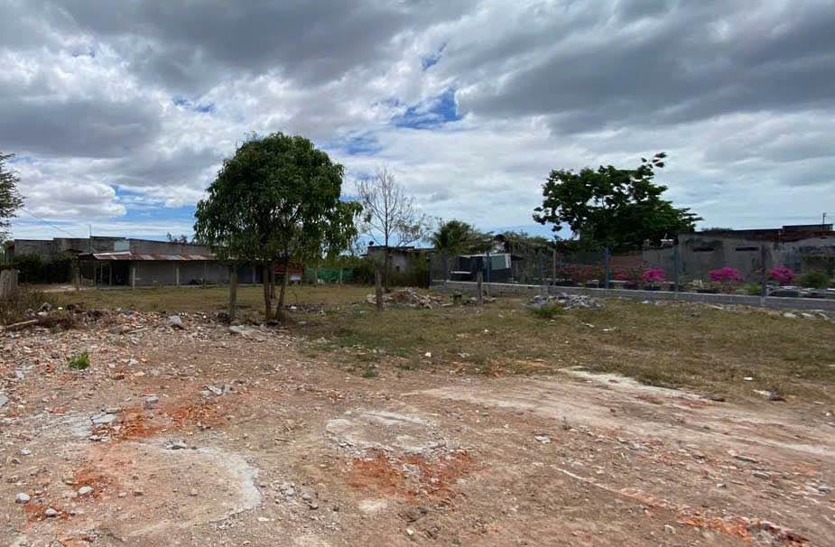 Bán Đất Vườn 500m² Hàm Thuận Bắc - Sổ Đỏ Rõ Ràng, Giá Đầu Tư 7xx Triệu