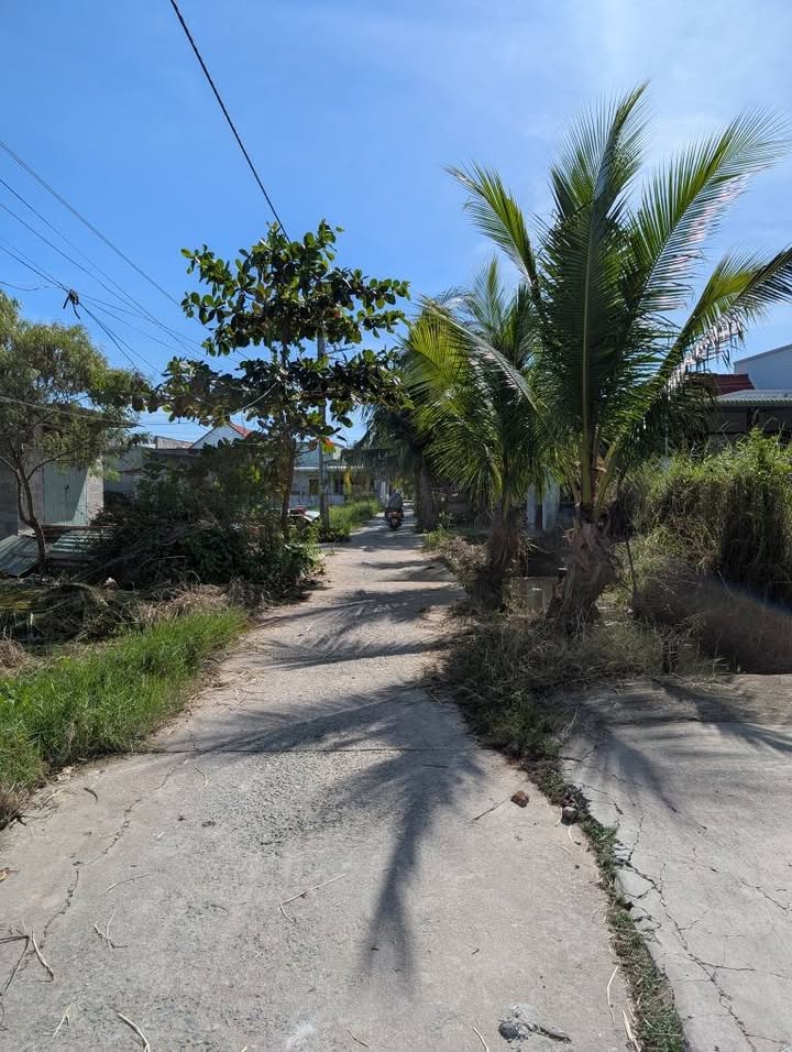 Nhà cấp 4 mới tinh, 137m² đường 28 Phan Thiết - Sẵn sàng đón chủ mới