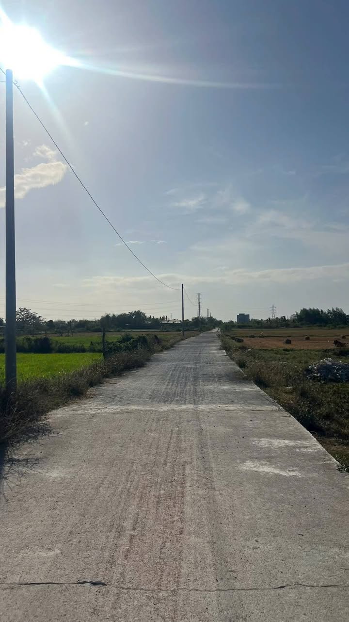 Đất Thổ Cư Hàm Liêm 300m² - Sổ Đỏ Chính Chủ, Giá Tốt