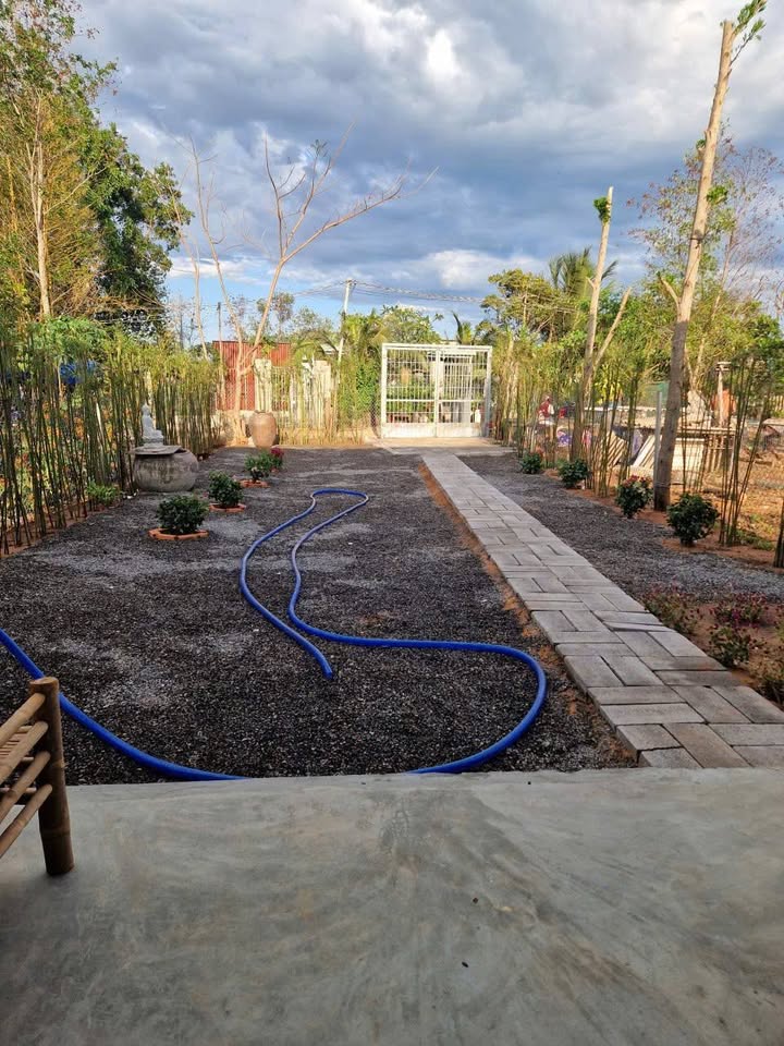 Nhà Vườn 210m² Đức Long, Phan Thiết - Sổ Hồng Vi Bằng, Giá 550 Triệu