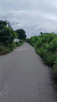 Bán đất 210m² mặt tiền đường nhựa Bến Cát, Bình Dương - Sổ hồng sẵn, giá tốt