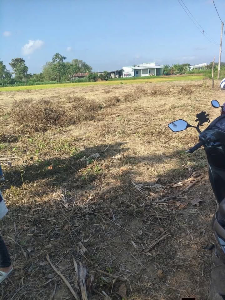 Đất nền Long Hòa Gò Công 103m² - Giá tốt hiếm có!