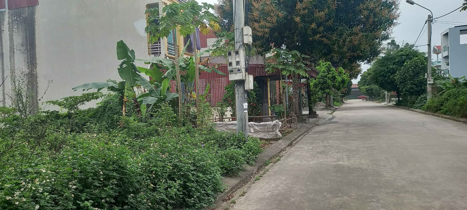 Đất Vàng Ninh Bình 80m² - Mặt Tiền 5m, Gần Hành Chính Công