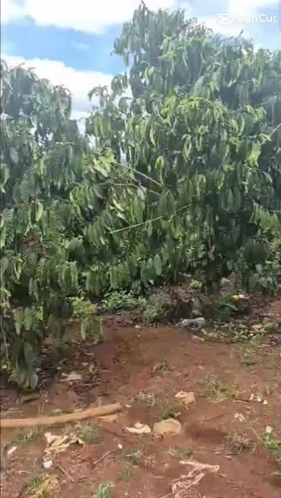 Đất Nền Đức Trọng 80m² Mặt Đường Bê Tông - Giá 5.4 Tỷ