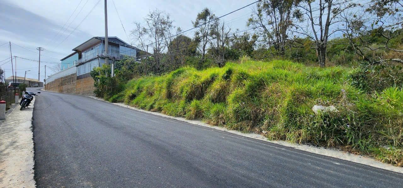 Đất Nông Nghiệp 1000m² Xuân Trường, Đà Lạt - View Rừng Thông, Sẵn Thổ Cư