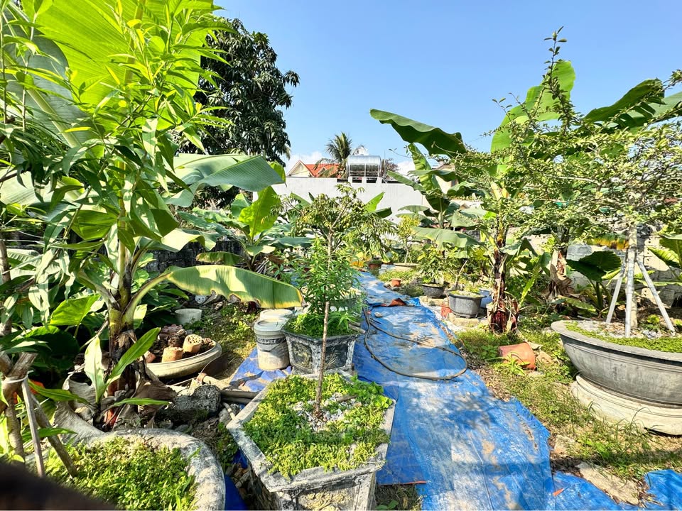 Đất Nền 99m² Sổ Đỏ Tại Hà Trung, Quảng Ninh - Ô Tô Đỗ Cửa