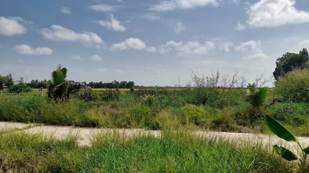 Bán đất 846m² mặt tiền 2 hướng tại Châu Thành, Kiên Giang - Giá 6xx triệu