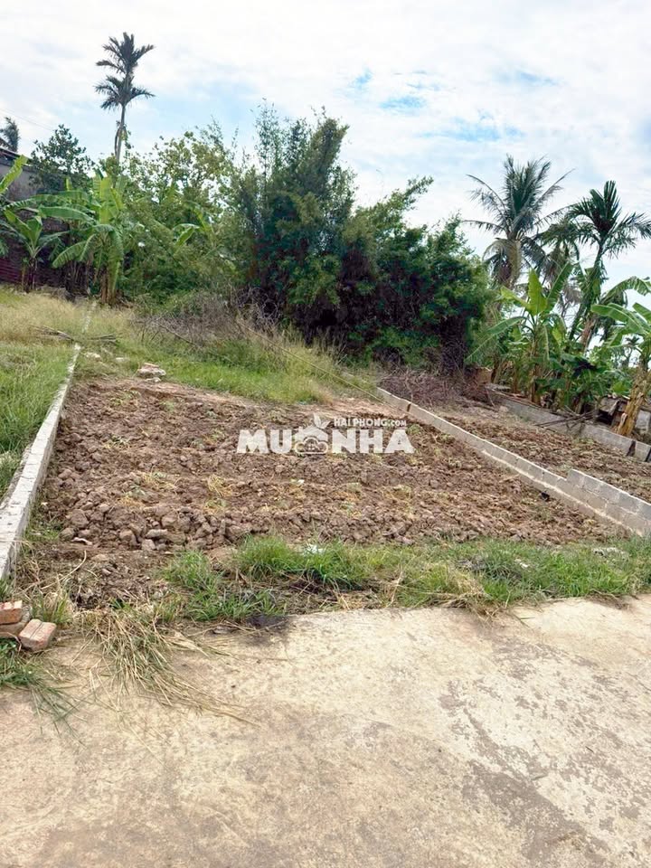 Bán Đất Thổ Cư Đồ Sơn 93.4m² - Ô Tô Tận Đất, Sổ Đỏ Rõ Ràng