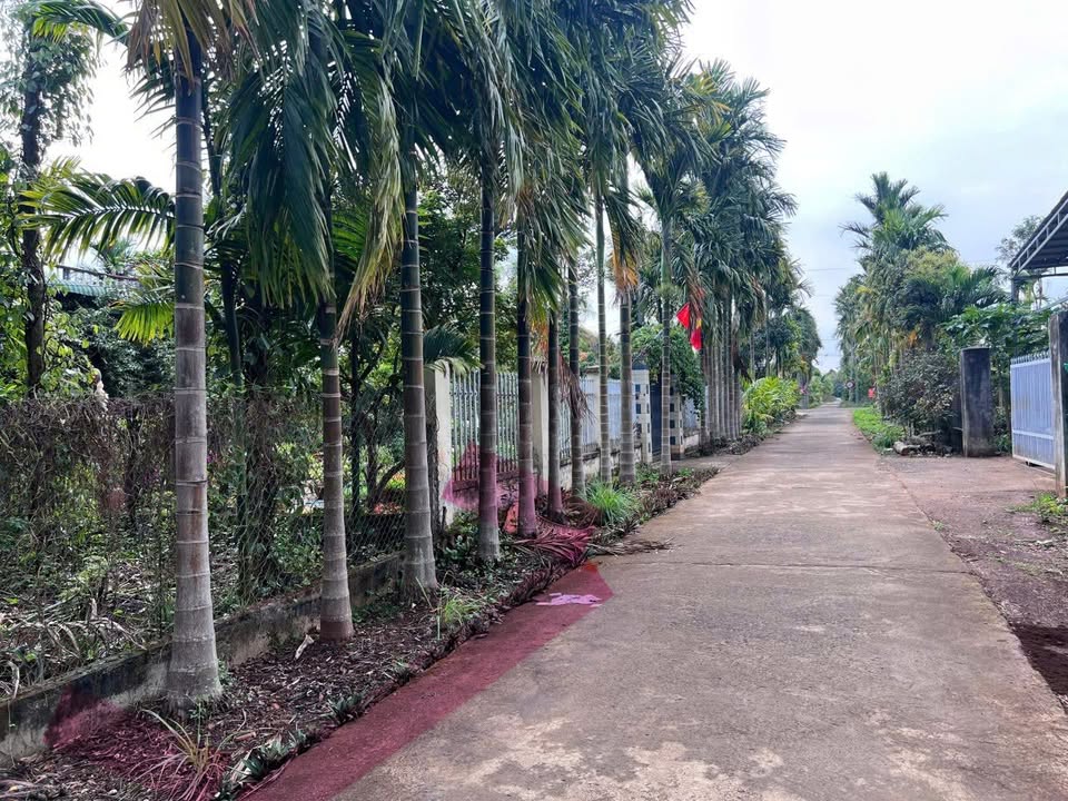 Đất nền Buôn Ma Thuột 300m² - Giảm Sốc 120 Triệu, Chỉ 660 Triệu/Lô!