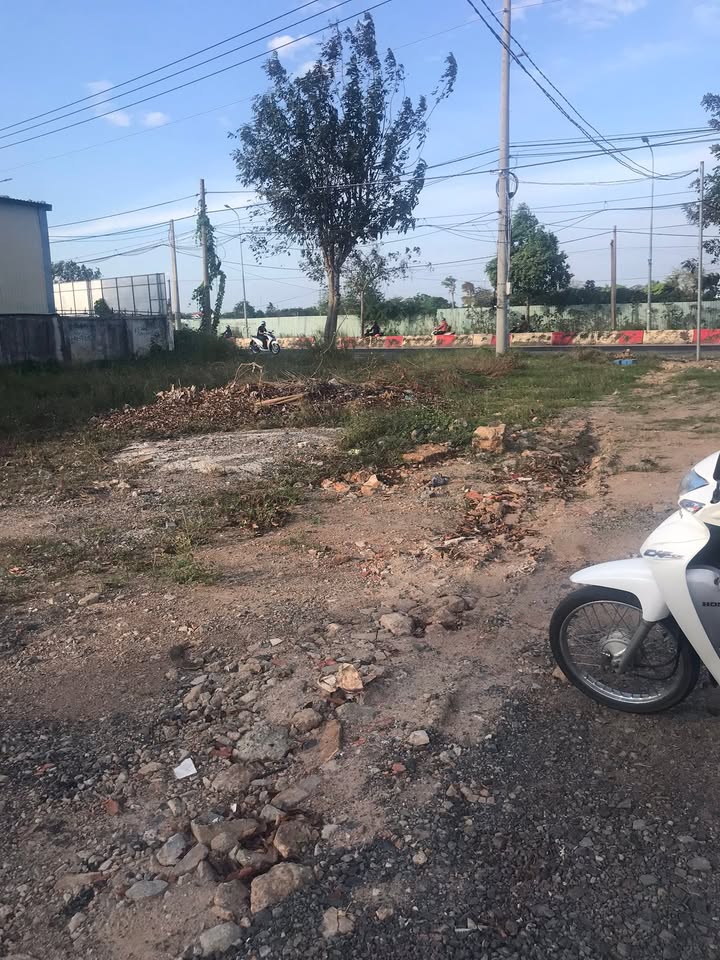 Đất Vàng Mặt Tiền TL44A Long Điền 601m² - Cơ Hội Kinh Doanh Vàng