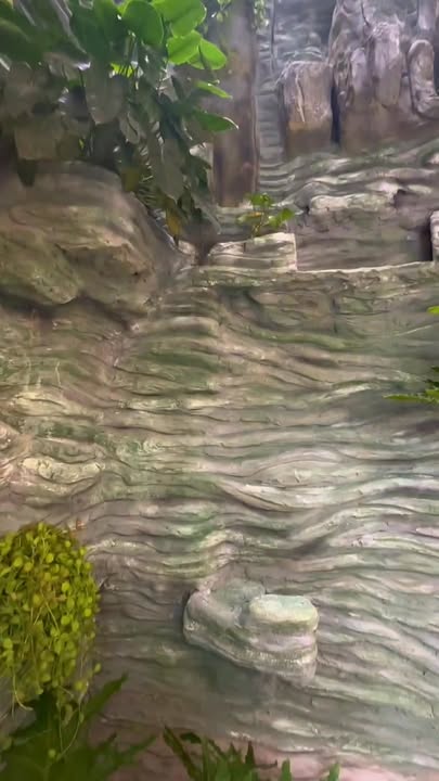 Villa Sân Vườn Nghỉ Dưỡng Long Hải 400m² - Giá 7.5 Tỷ