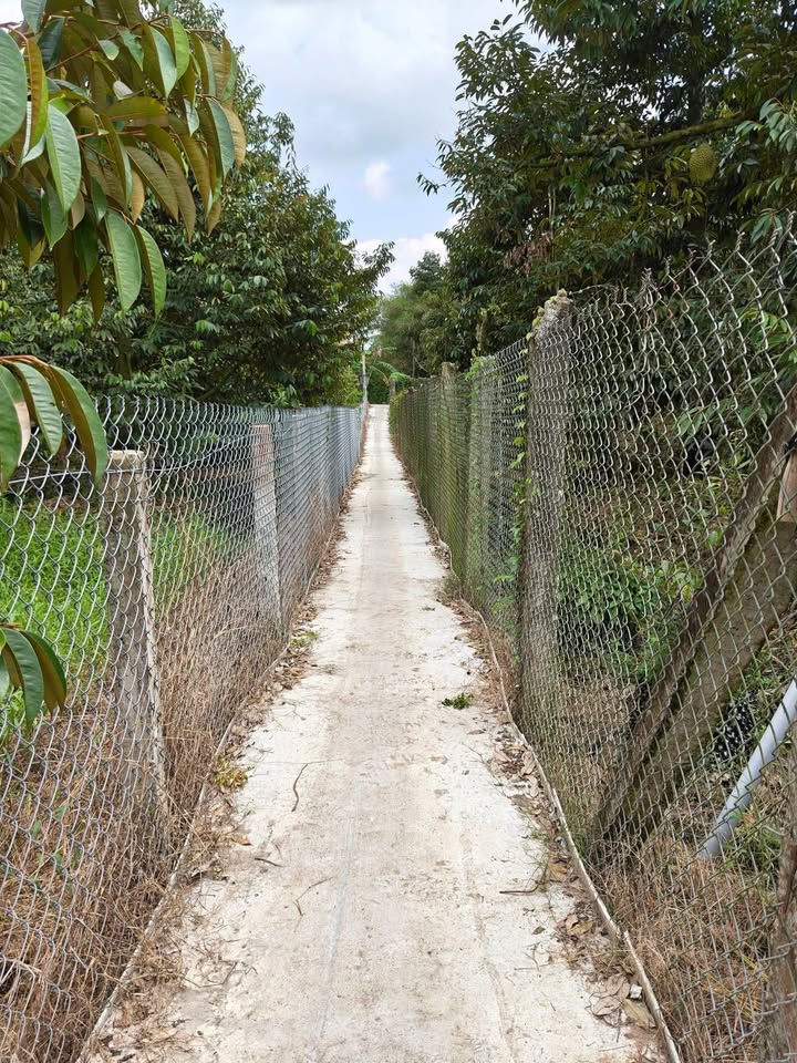 Đất vườn Long Khánh 1000m² giá 630 triệu - Sổ hồng rõ ràng