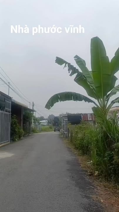 Nhà Cho Thuê Phước Vĩnh, Bình Dương - 2PN, Sổ Riêng, Giá 3 Triệu/Tháng