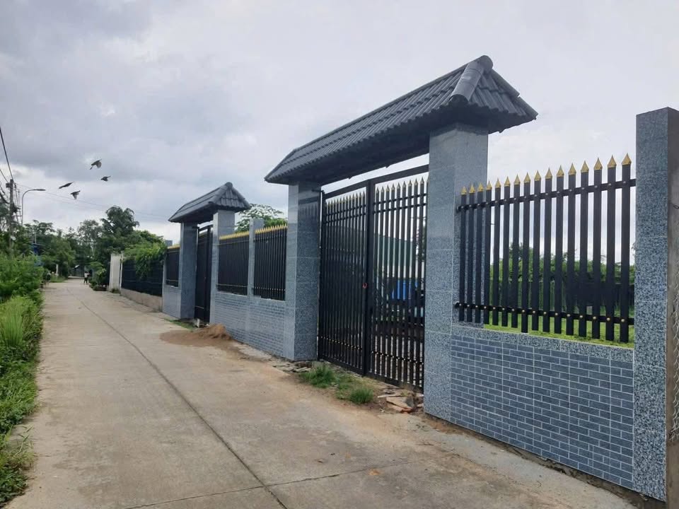 Đất Vườn Bình Chánh 1140m² - Sổ Đỏ Rõ Ràng, Vị Trí Đắc Địa