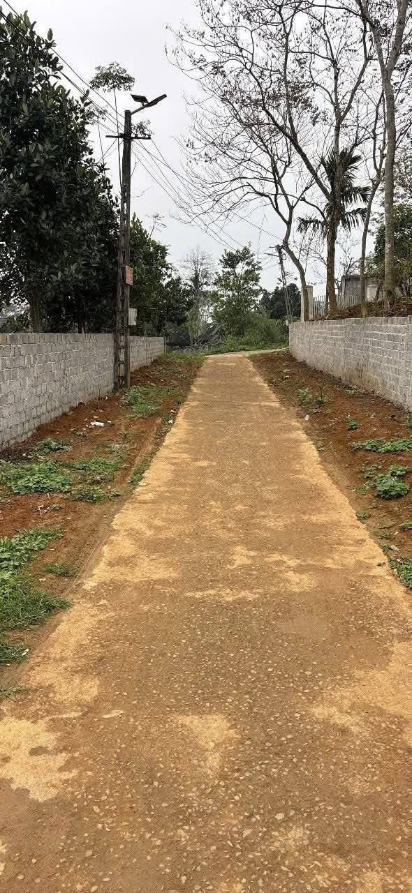 Đất nền Sao Vàng 750m² - Mặt tiền 8m, tiềm năng tăng giá cực mạnh