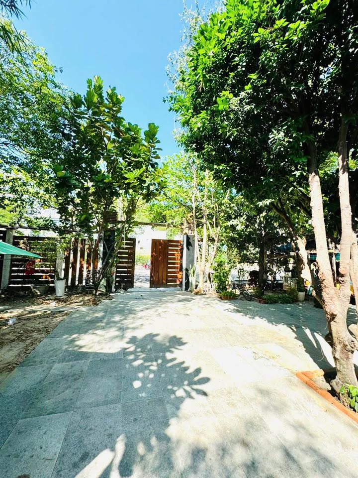 Đất Vàng Mặt Tiền Phạm Văn Đồng Nha Trang 315m² - Sát Biển, Tiềm Năng Kinh Doanh Vượt Trội