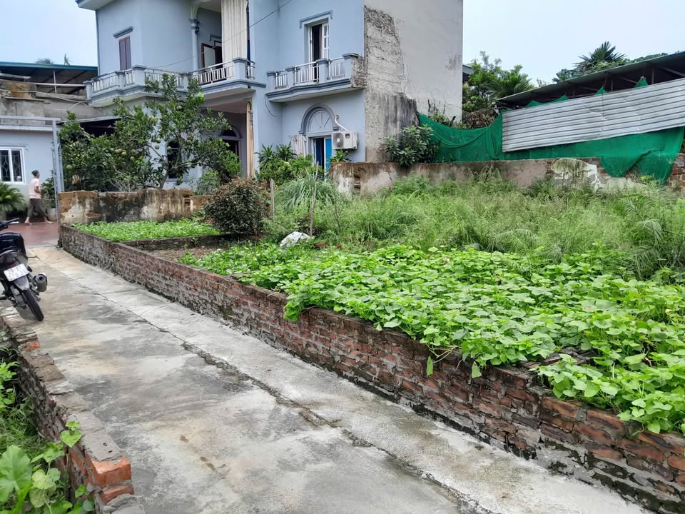 Đất nền 42m² Tam Hưng, Thanh Oai - Sổ đỏ sẵn, gần Lõi Vin Olympic