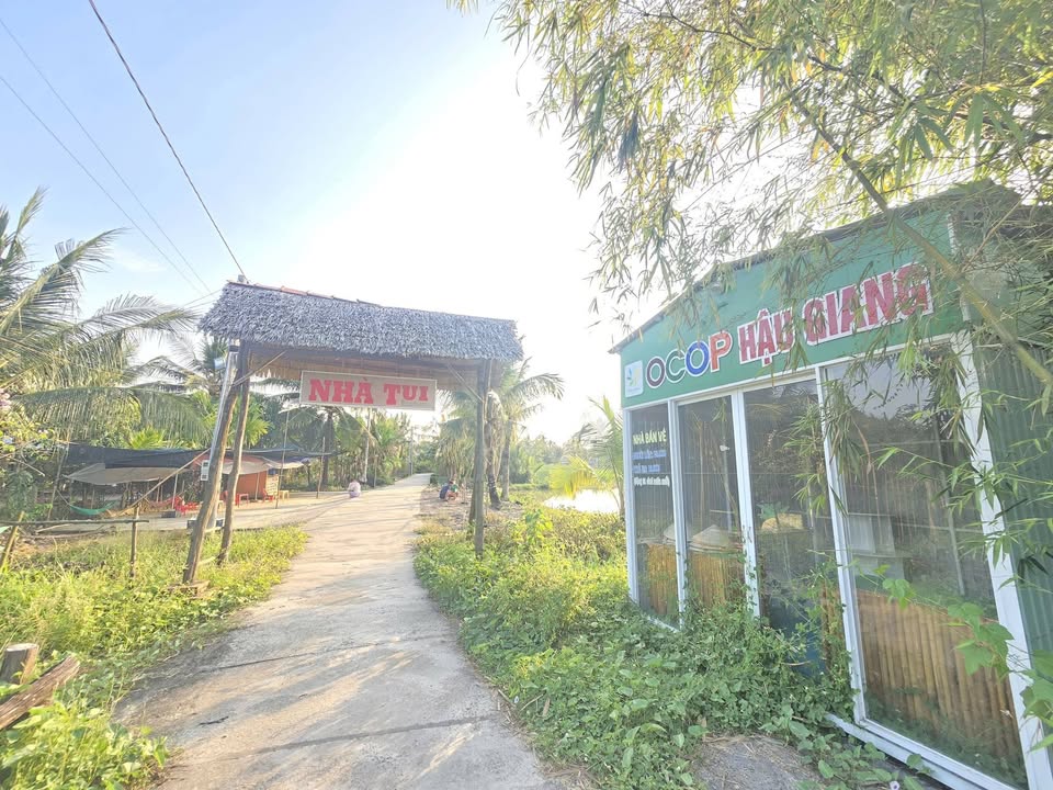 Đất Du Lịch Vườn 15.000m² Cặp Sông, Vị Tân, Hậu Giang - Giá 7.5 Tỷ