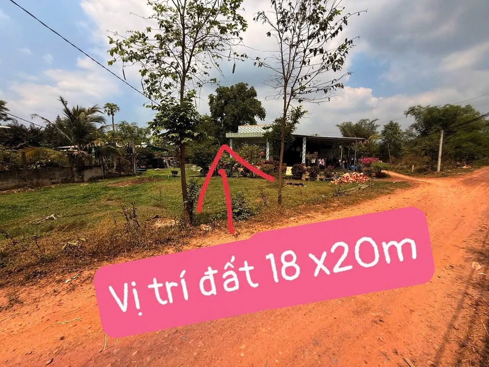 Đất nền Tân Mỹ, Đức Hòa, Long An - 360m² view kênh, giá 750 triệu