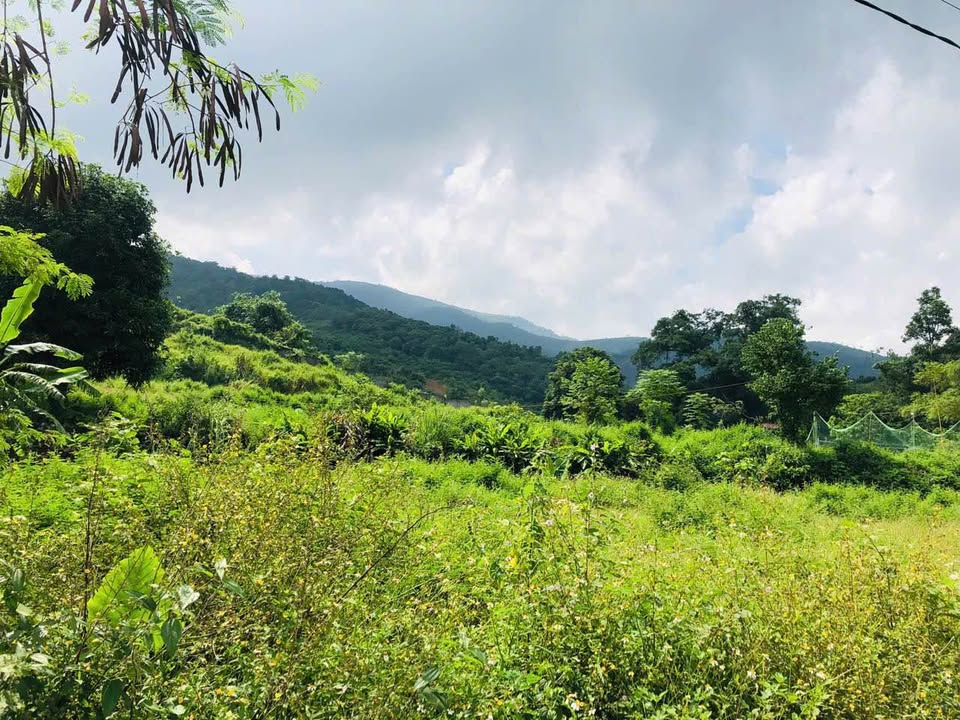 Đất Lương Sơn Hòa Bình 1ha - View Đồng Núi, Lô Góc 60m Mặt Đường Bê Tông