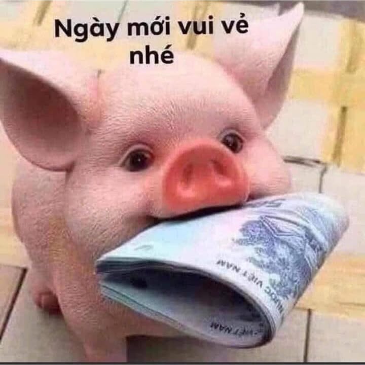 Đất Nền Ia Blang, Chư Sê, Gia Lai - Sổ Đỏ Thổ Cư, Giá Tốt 425 Triệu