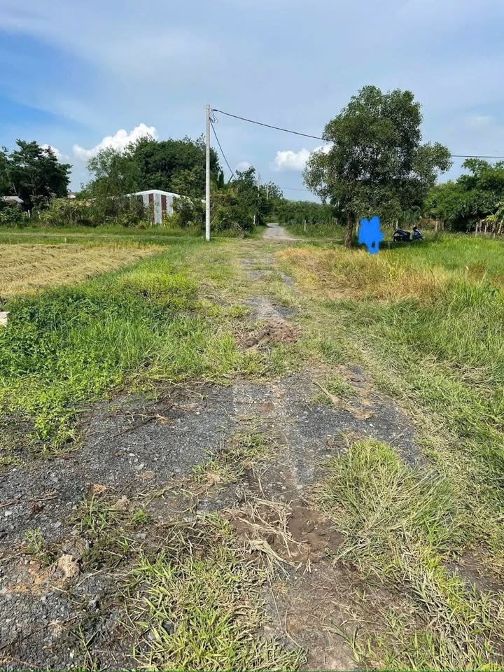 Đất Vườn Củ Chi 500m² - Giá Rẻ Bất Ngờ Chỉ Từ 7xx Triệu