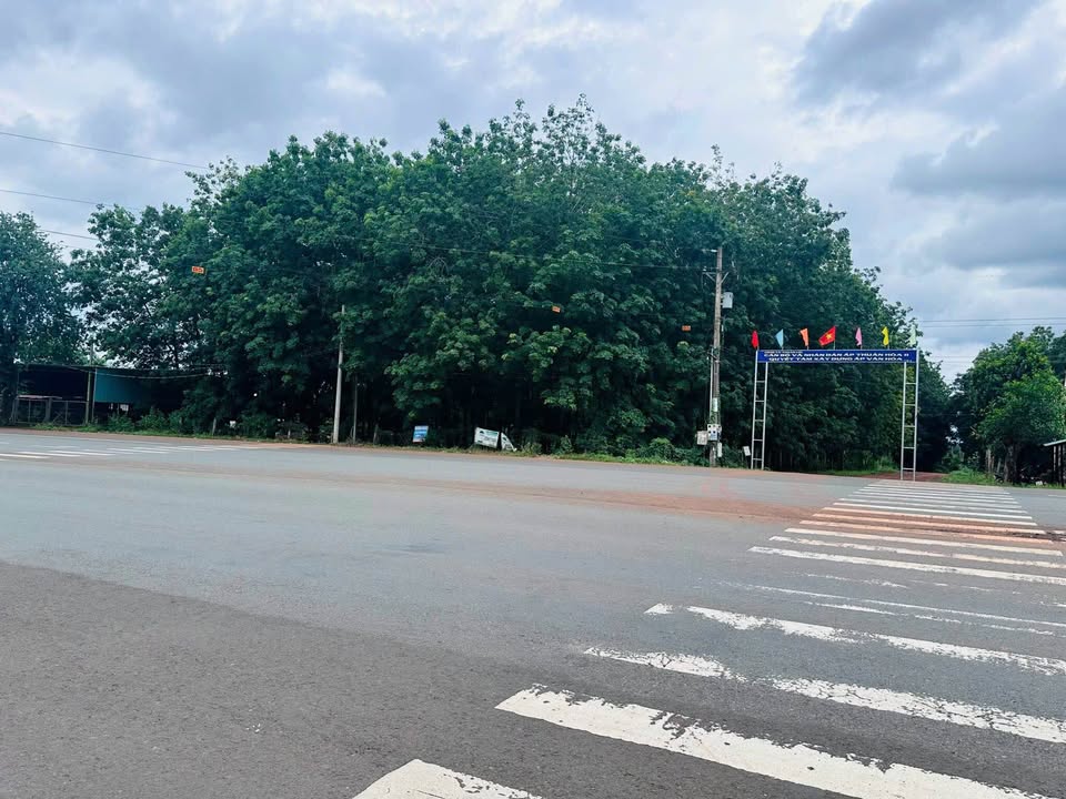 Bán Đất 18000m² Mặt Tiền QL741, Bình Phước - Giá 20 Tỷ