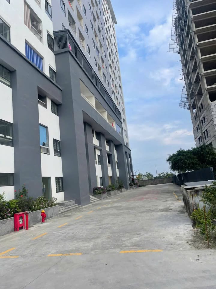 Bán Shophouse CC1 Quảng Thành 50m² - Giá 1 Tỷ Tốt Nhất