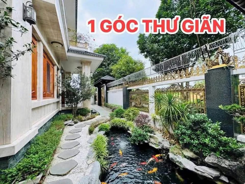 Biệt thự 450m² TP.Thanh Hóa - Lô Góc, Full Nội Thất Gỗ Đinh Hương