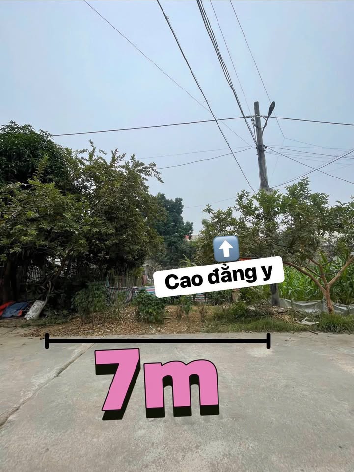 Đất nền Phú Thọ 122.8m² full thổ cư - Vị trí đắc địa, tiềm năng sinh lời cao