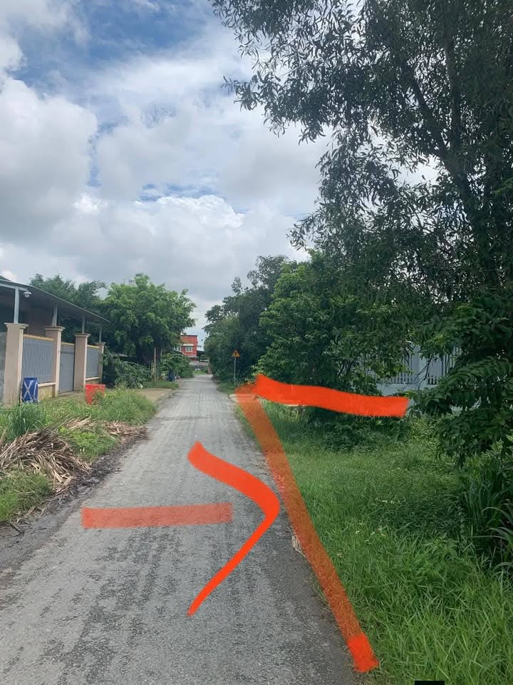 Đất Củ Chi 1099m² Full Thổ Cư - Giá Rẻ 15 Tỷ, Đa Mục Đích Sử Dụng