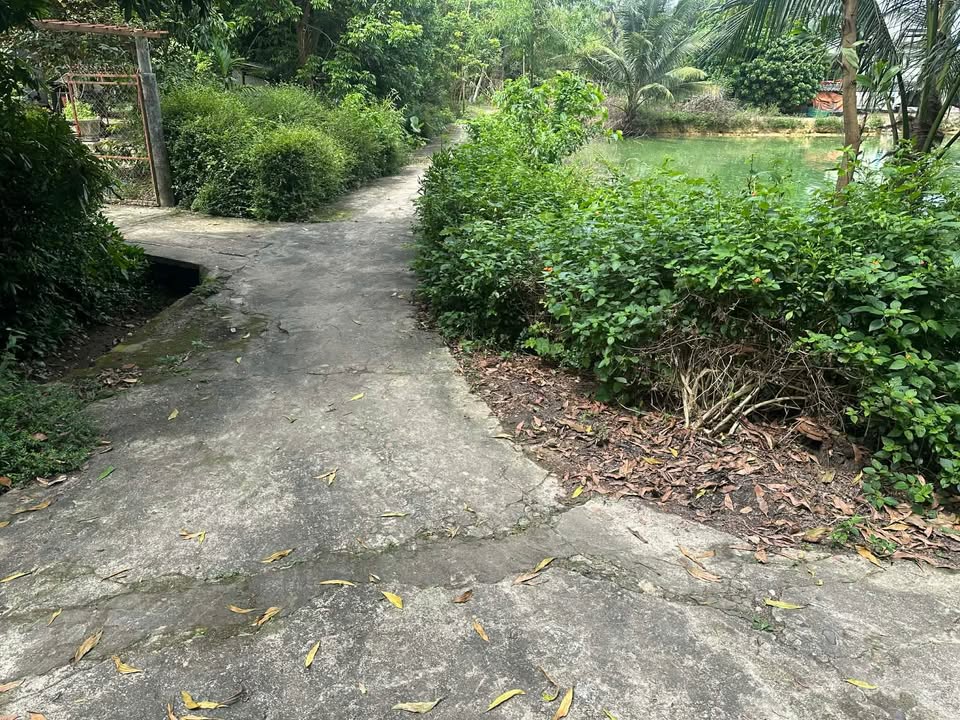 Đất 308m² View Hồ, Gần Ngã Tư Lê Duẩn - Đông Hà