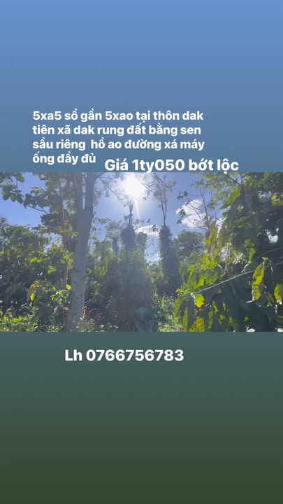 Farm Đắk Nông 1.980m² - Vườn Cà Phê, Tiêu, Sầu Riêng Giá 1.05 Tỷ