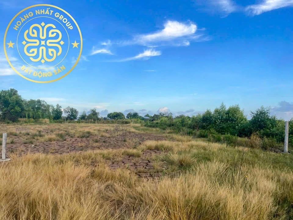 Đất Vườn Mặt Tiền Cà Mau 1191m² - Sổ Hồng Thổ Cư Sẵn Sàng