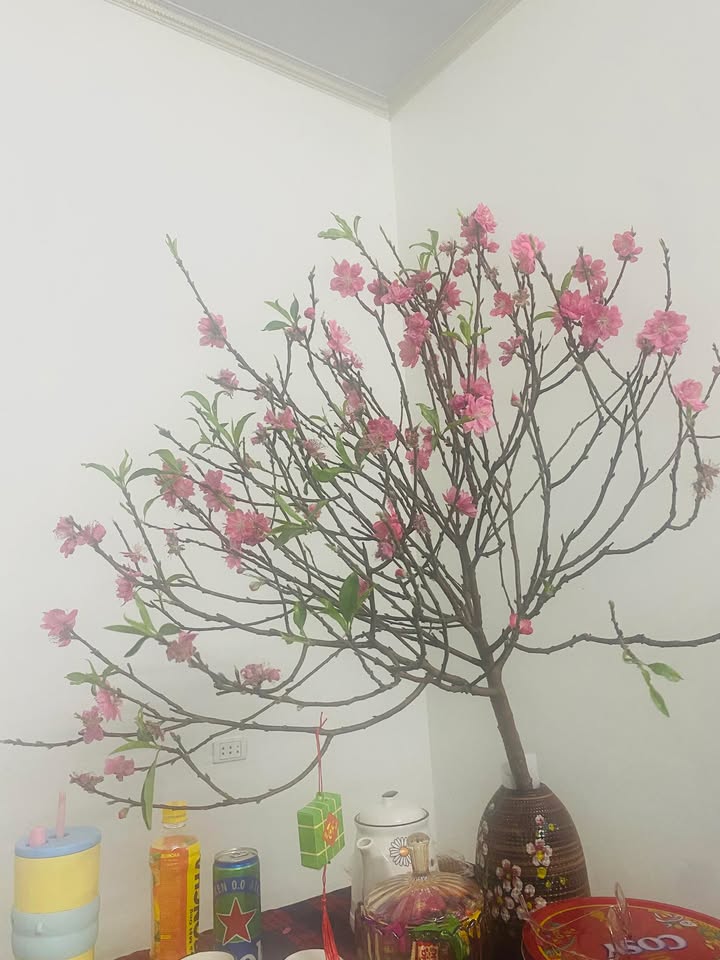 Bán Đất Lô Góc Mặt Tiền QL Kỳ Tiến, Hà Tĩnh - 200m² Kinh Doanh/Ở