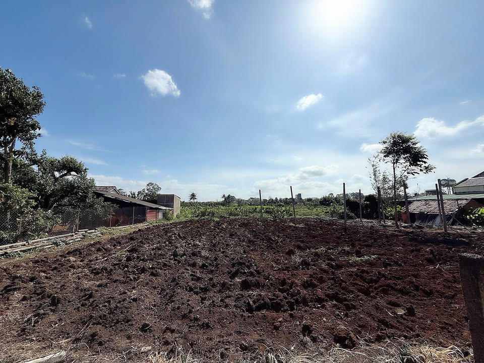 Đất Thổ Cư 145m² Ea Kao, Buôn Ma Thuột - Giá Tốt Đầu Tư