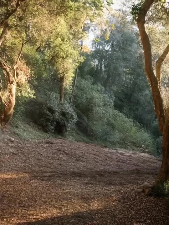 Đất Vàng Ngũ Hành Sơn, Đà Nẵng - 283m² Sổ Đỏ Sẵn Sàng Xây Khách Sạn/Villa