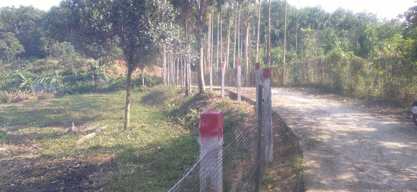 Bán Đất Vườn 1200m² Hòa Phú, Đà Nẵng - Giá 550 Triệu, Sẵn Sàng Xây Dựng