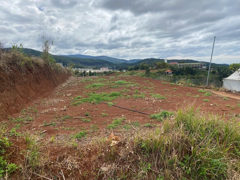 Đất Nền Phường 5 Đà Lạt 1000m² 2.7 Tỷ - Tiềm Năng Tăng Giá Vượt Trội!