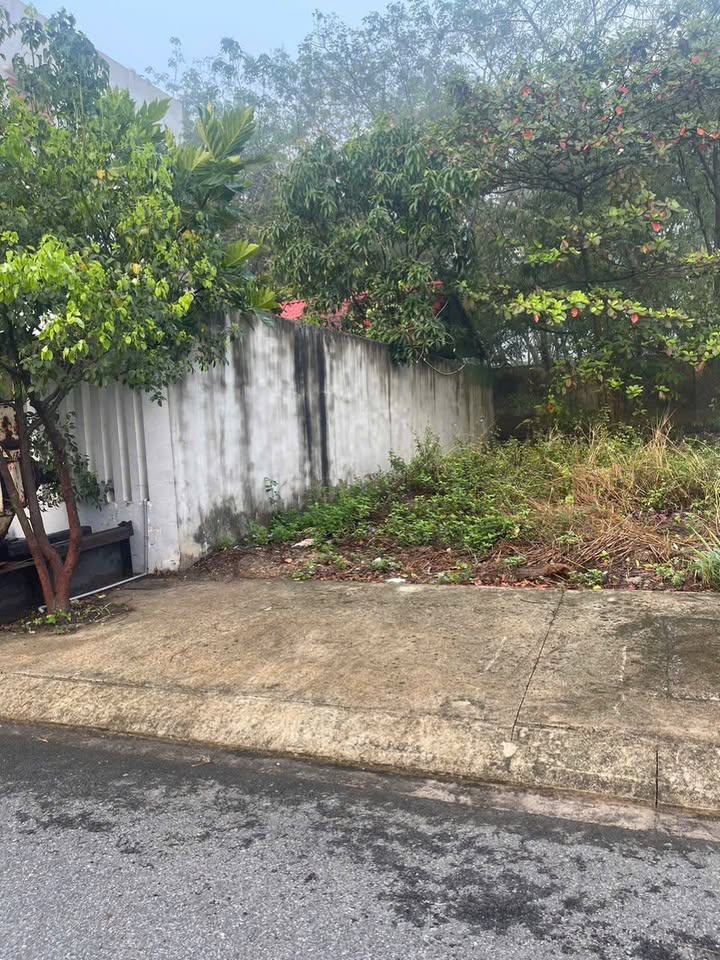 Đất Vĩnh Tân Bình Dương 75m² Sổ Hồng Sẵn - Giá 1.07 Tỷ