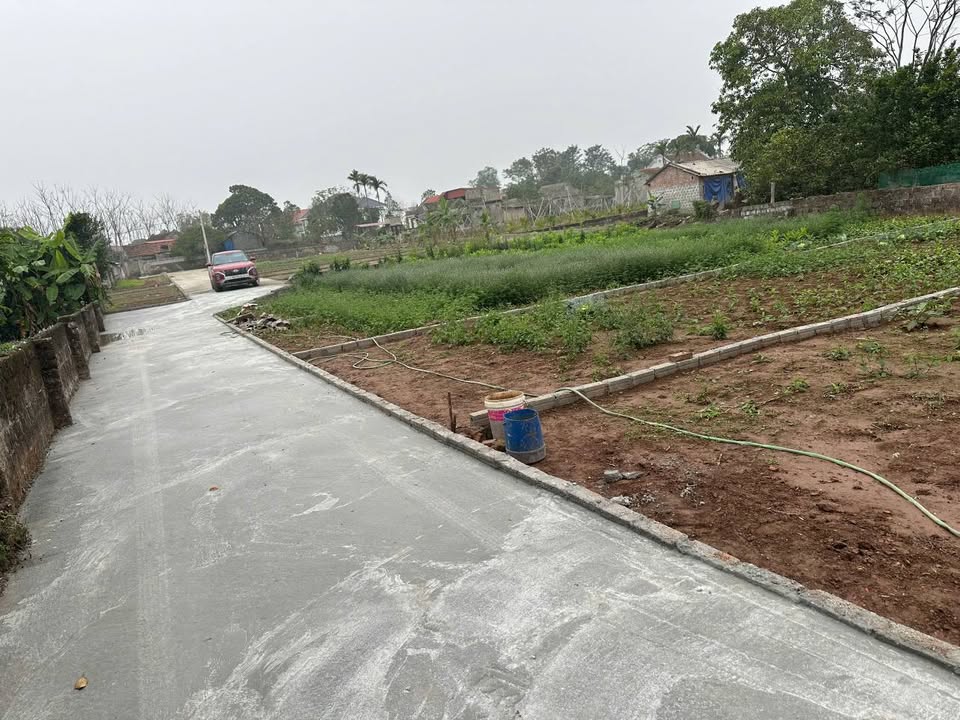 Đất nền nghỉ dưỡng Tống Trân, Hưng Yên - 120m² - Sổ đỏ, 800 triệu