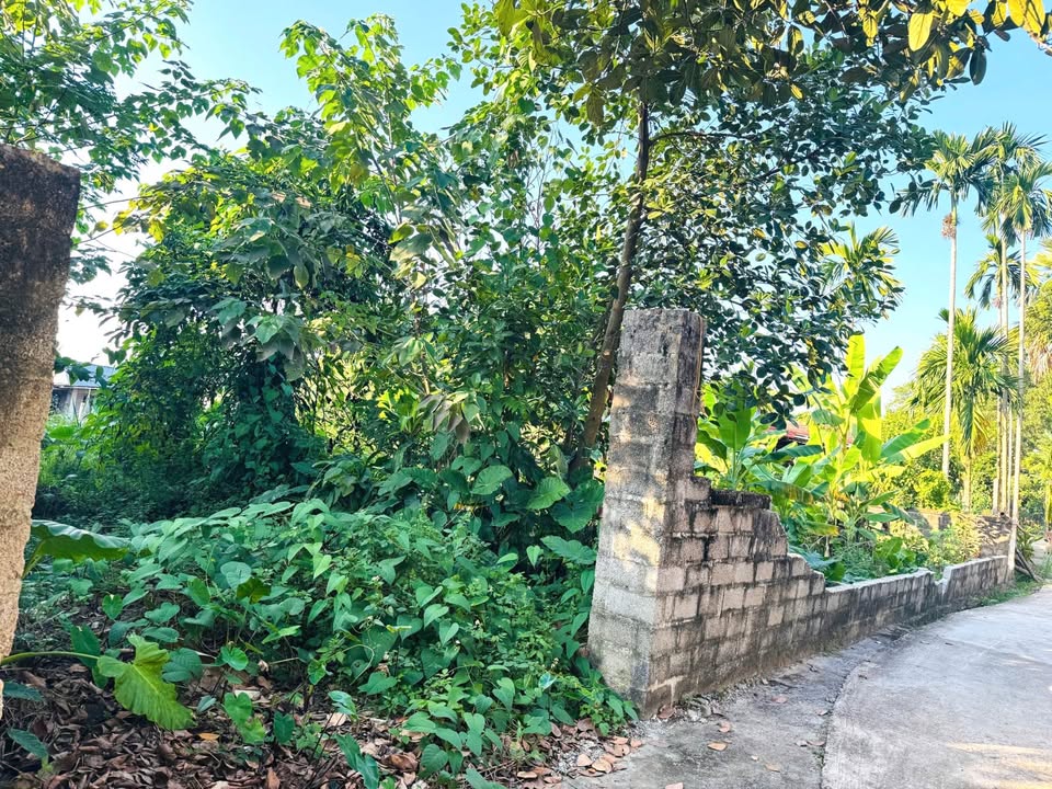 Đất nền Cao Ngạn, Thái Nguyên 135m² - Sổ đỏ thổ cư, giá 6xx triệu