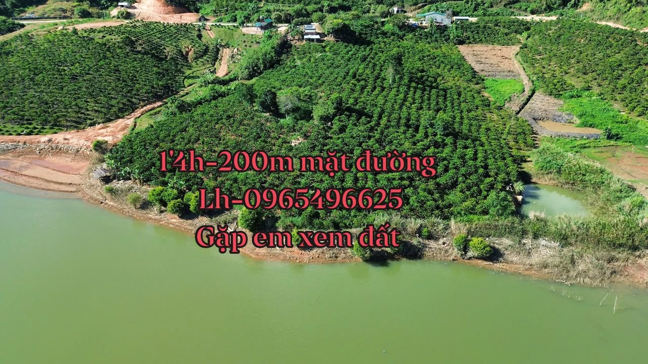 Đất Vườn Phú Yên 1.4ha Mặt Tiền Hồ Lớn - Giá 2.8 Tỷ F0