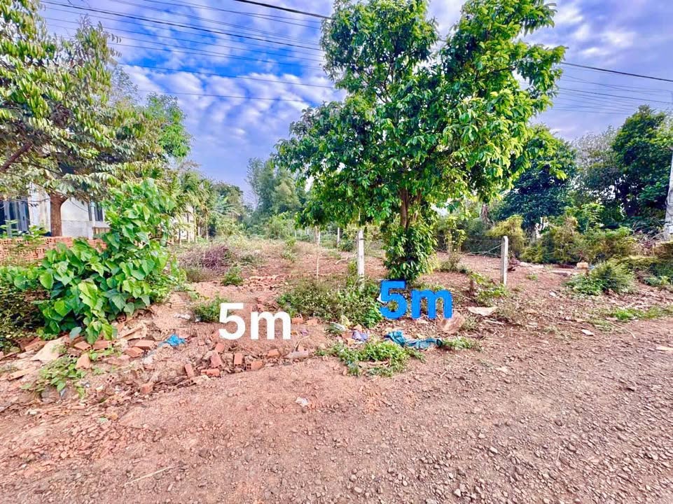 Bán Gấp 2 Lô Liền Kề 480m² Giáp Hoà Thuận - Buôn Ma Thuột