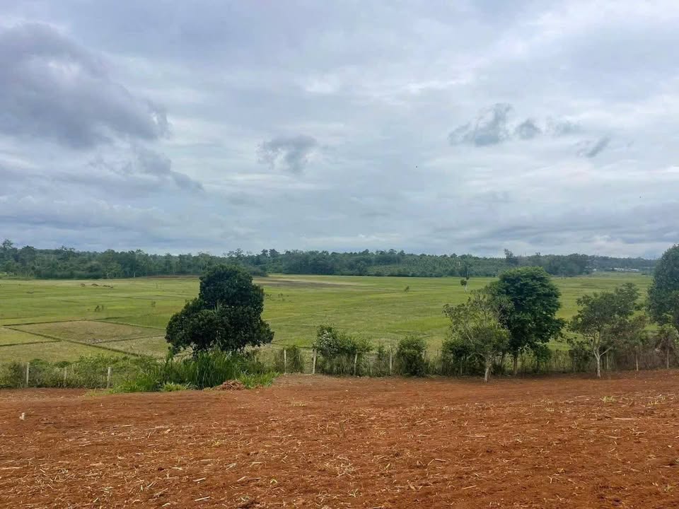 Đất nền Phường Cư Bao, Buôn Hồ 476m² - View đồng, Sổ hồng riêng