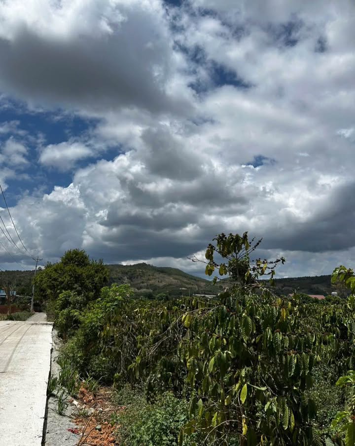 Đất Vườn Liên Hiệp Đức Trọng 2672m² - Mặt Tiền Rộng 43m - Sổ Hồng Riêng