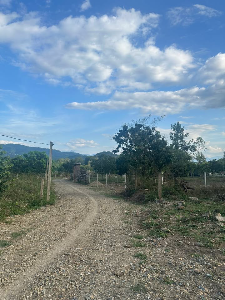 Đất Vườn Diên Khánh 1000m² Giá 499 Triệu - Sẵn Nhà Vườn, Cạnh Hồ Mát