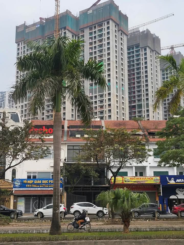 Nhà Mặt Tiền Lê Trọng Tấn (VĐ 3.5) 152m² - Kinh Doanh Đắc Lợi