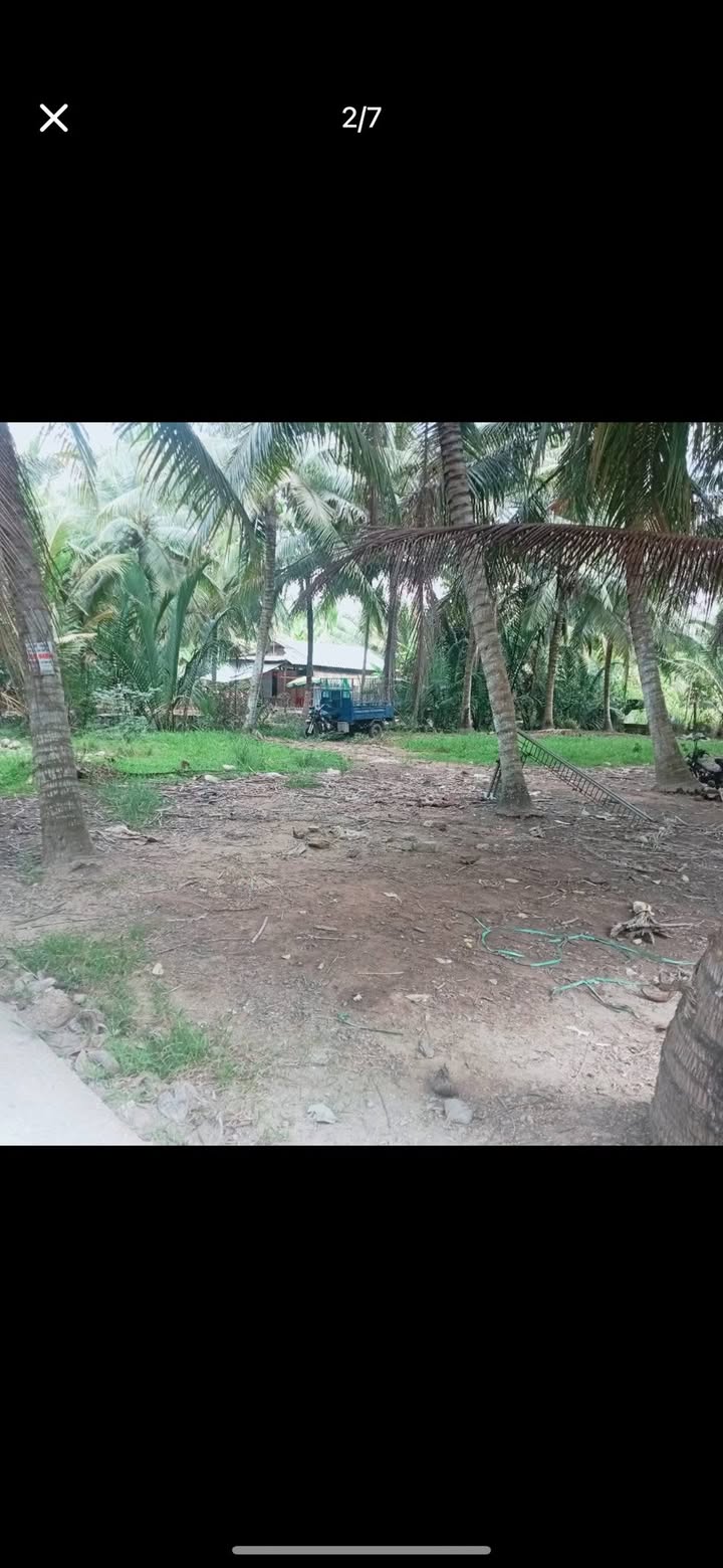 Bán Gấp Đất 1000m² Mặt Tiền Lộ 3.5m, Xã Hòa Lộc, Bến Tre - Giá 950 Triệu