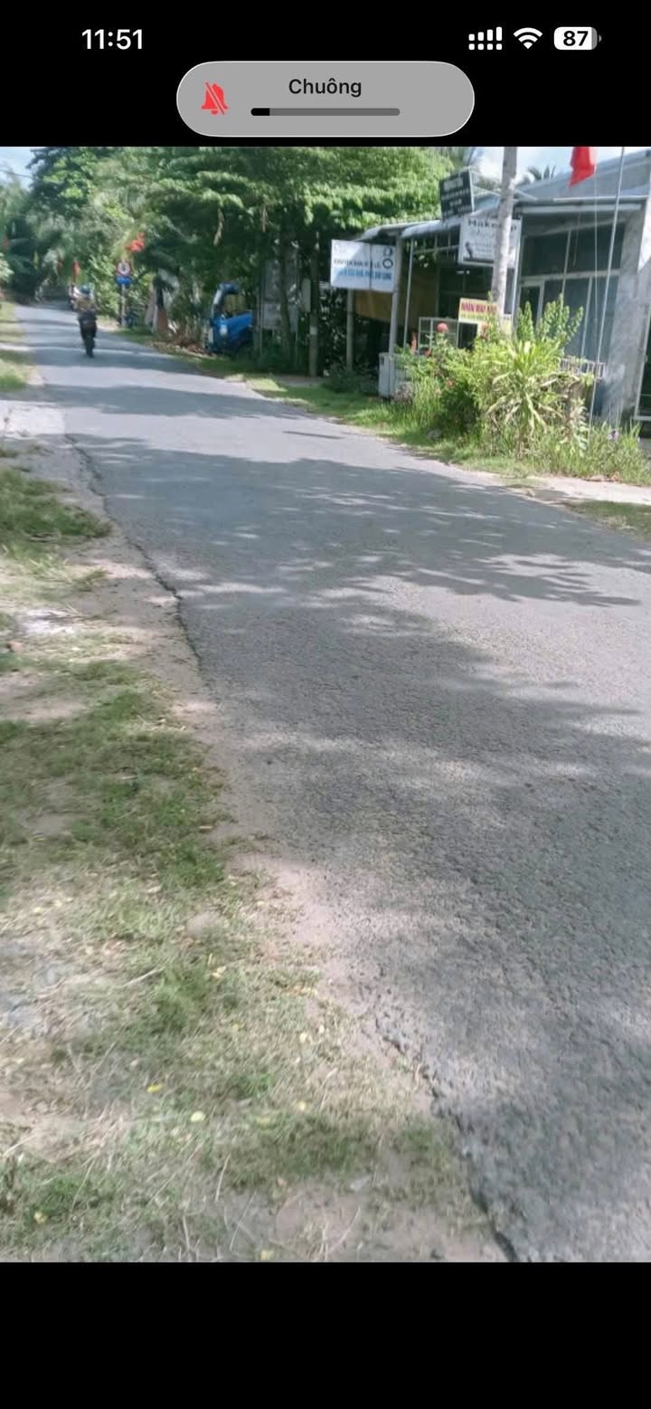 Đất Vườn 6000m² Tặng Nhà & Tiệm Mặt Tiền Lộ Nhựa Tân Thanh Tây, Bến Tre - Giá 6.5 Tỷ TL